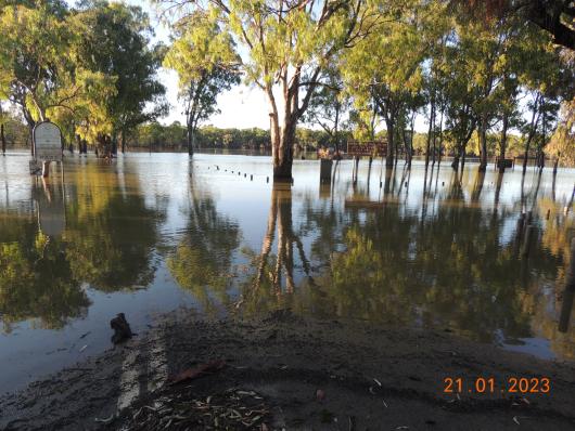 Murray-Darling River Junction Jan. 2023